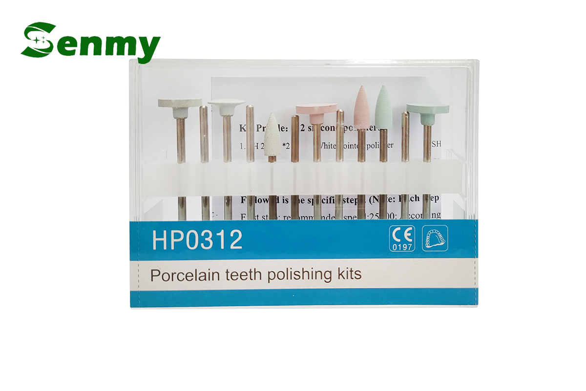 N831B Porcelain Polishing Kit 